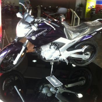  ����������250